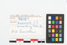 Etikett zu Bernsteinperle (NHMW-PRAE-078081)